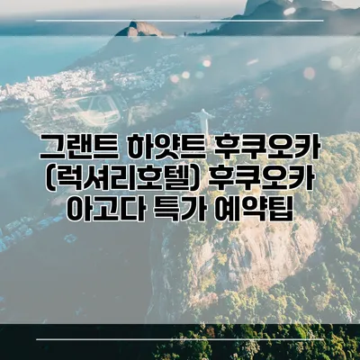그랜트 하얏트 후쿠오카 (럭셔리호텔) 후쿠오카 아고다 특가 예약팁