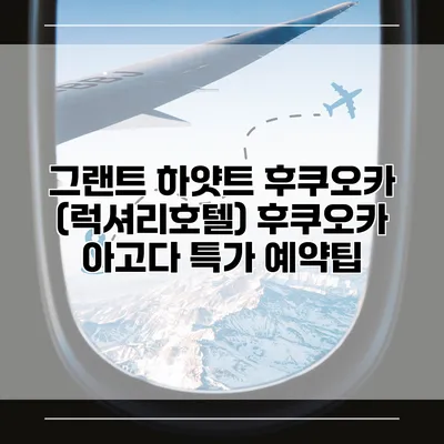 그랜트 하얏트 후쿠오카 (럭셔리호텔) 후쿠오카 아고다 특가 예약팁