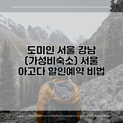 도미인 서울 강남 (가성비숙소) 서울 아고다 할인예약 비법
