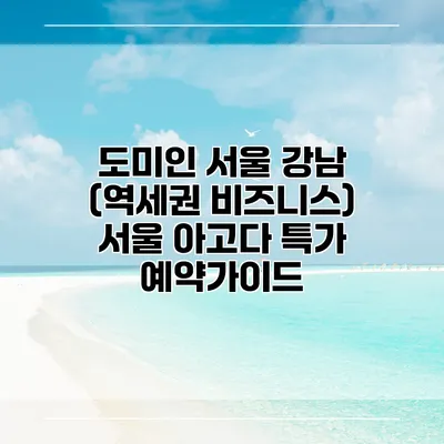 도미인 서울 강남 (역세권 비즈니스) 서울 아고다 특가 예약가이드