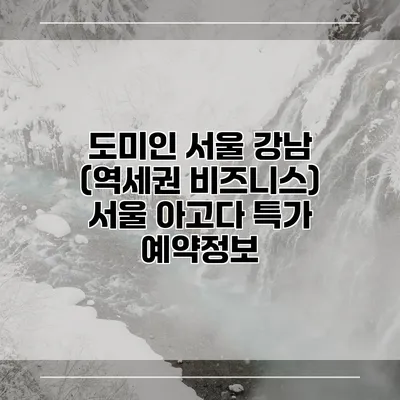 도미인 서울 강남 (역세권 비즈니스) 서울 아고다 특가 예약정보