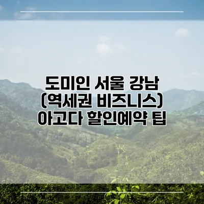 도미인 서울 강남 (역세권 비즈니스) 아고다 할인예약 팁