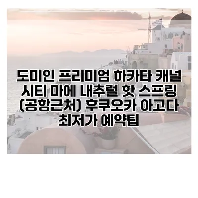 도미인 프리미엄 하카타 캐널 시티 마에 내추럴 핫 스프링 (공항근처) 후쿠오카 아고다 최저가 예약팁