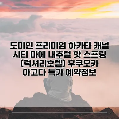 도미인 프리미엄 하카타 캐널 시티 마에 내추럴 핫 스프링 (럭셔리호텔) 후쿠오카 아고다 특가 예약정보