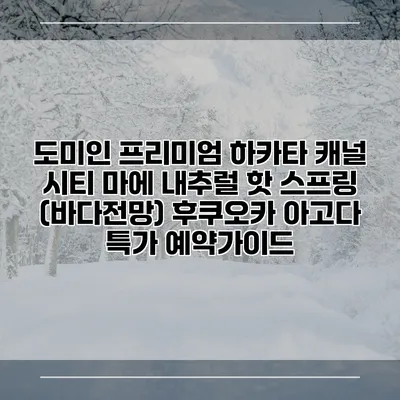 도미인 프리미엄 하카타 캐널 시티 마에 내추럴 핫 스프링 (바다전망) 후쿠오카 아고다 특가 예약가이드