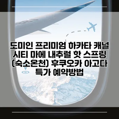 도미인 프리미엄 하카타 캐널 시티 마에 내추럴 핫 스프링 (숙소온천) 후쿠오카 아고다 특가 예약방법