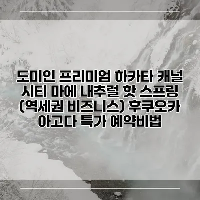 도미인 프리미엄 하카타 캐널 시티 마에 내추럴 핫 스프링 (역세권 비즈니스) 후쿠오카 아고다 특가 예약비법