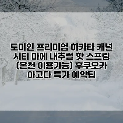 도미인 프리미엄 하카타 캐널 시티 마에 내추럴 핫 스프링 (온천 이용가능) 후쿠오카 아고다 특가 예약팁