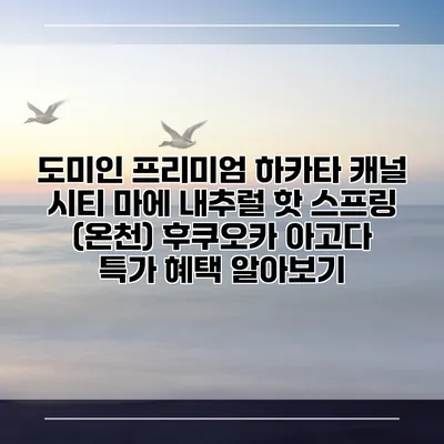 도미인 프리미엄 하카타 캐널 시티 마에 내추럴 핫 스프링 (온천) 후쿠오카 아고다 특가 혜택 알아보기