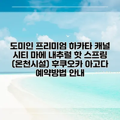 도미인 프리미엄 하카타 캐널 시티 마에 내추럴 핫 스프링 (온천시설) 후쿠오카 아고다 예약방법 안내
