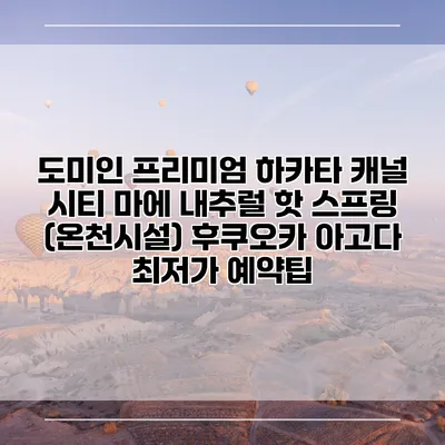 도미인 프리미엄 하카타 캐널 시티 마에 내추럴 핫 스프링 (온천시설) 후쿠오카 아고다 최저가 예약팁