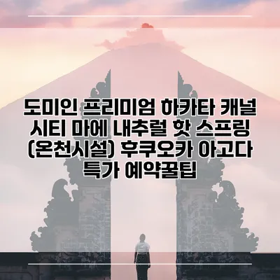 도미인 프리미엄 하카타 캐널 시티 마에 내추럴 핫 스프링 (온천시설) 후쿠오카 아고다 특가 예약꿀팁