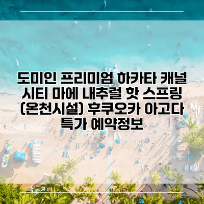 도미인 프리미엄 하카타 캐널 시티 마에 내추럴 핫 스프링 (온천시설) 후쿠오카 아고다 특가 예약정보