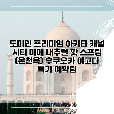 도미인 프리미엄 하카타 캐널 시티 마에 내추럴 핫 스프링 (온천욕) 후쿠오카 아고다 특가 예약팁