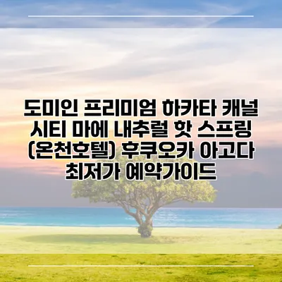 도미인 프리미엄 하카타 캐널 시티 마에 내추럴 핫 스프링 (온천호텔) 후쿠오카 아고다 최저가 예약가이드