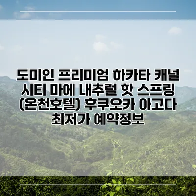 도미인 프리미엄 하카타 캐널 시티 마에 내추럴 핫 스프링 (온천호텔) 후쿠오카 아고다 최저가 예약정보