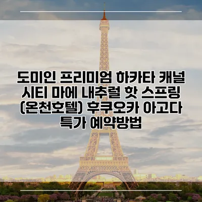도미인 프리미엄 하카타 캐널 시티 마에 내추럴 핫 스프링 (온천호텔) 후쿠오카 아고다 특가 예약방법