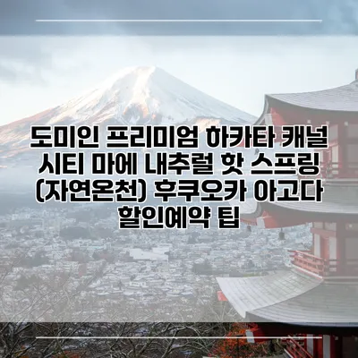 도미인 프리미엄 하카타 캐널 시티 마에 내추럴 핫 스프링 (자연온천) 후쿠오카 아고다 할인예약 팁