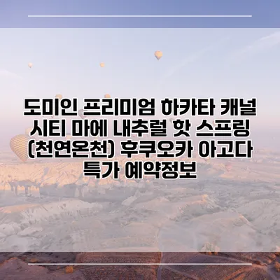 도미인 프리미엄 하카타 캐널 시티 마에 내추럴 핫 스프링 (천연온천) 후쿠오카 아고다 특가 예약정보