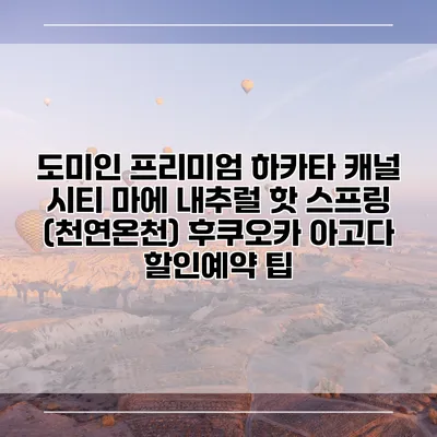 도미인 프리미엄 하카타 캐널 시티 마에 내추럴 핫 스프링 (천연온천) 후쿠오카 아고다 할인예약 팁