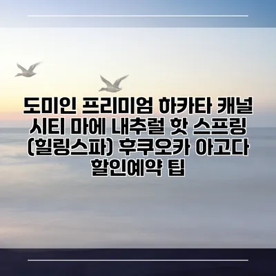도미인 프리미엄 하카타 캐널 시티 마에 내추럴 핫 스프링 (힐링스파) 후쿠오카 아고다 할인예약 팁