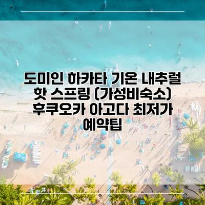 도미인 하카타 기온 내추럴 핫 스프링 (가성비숙소) 후쿠오카 아고다 최저가 예약팁