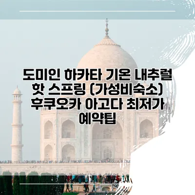 도미인 하카타 기온 내추럴 핫 스프링 (가성비숙소) 후쿠오카 아고다 최저가 예약팁