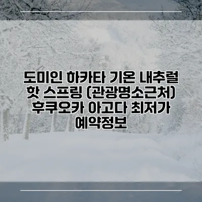 도미인 하카타 기온 내추럴 핫 스프링 (관광명소근처) 후쿠오카 아고다 최저가 예약정보