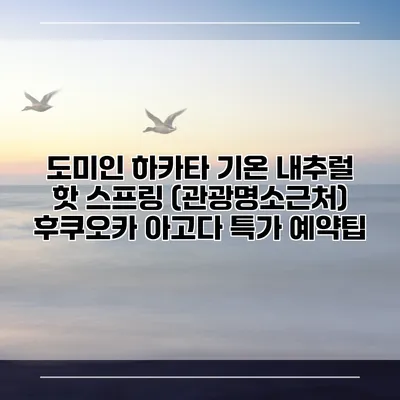 도미인 하카타 기온 내추럴 핫 스프링 (관광명소근처) 후쿠오카 아고다 특가 예약팁