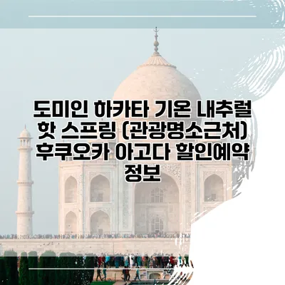 도미인 하카타 기온 내추럴 핫 스프링 (관광명소근처) 후쿠오카 아고다 할인예약 정보