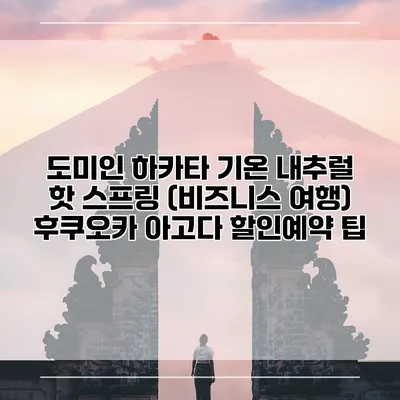 도미인 하카타 기온 내추럴 핫 스프링 (비즈니스 여행) 후쿠오카 아고다 할인예약 팁
