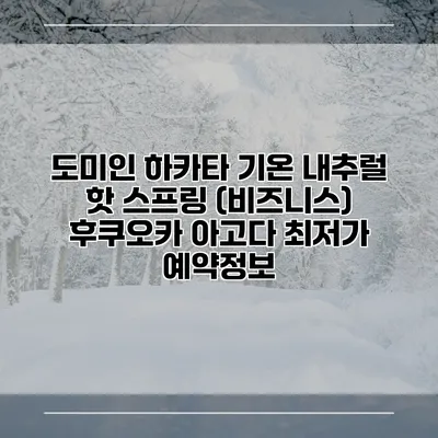 도미인 하카타 기온 내추럴 핫 스프링 (비즈니스) 후쿠오카 아고다 최저가 예약정보