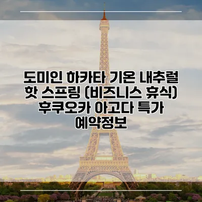 도미인 하카타 기온 내추럴 핫 스프링 (비즈니스 휴식) 후쿠오카 아고다 특가 예약정보