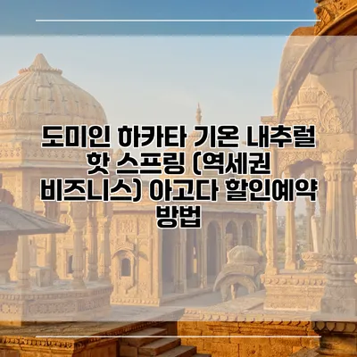 도미인 하카타 기온 내추럴 핫 스프링 (역세권 비즈니스) 아고다 할인예약 방법