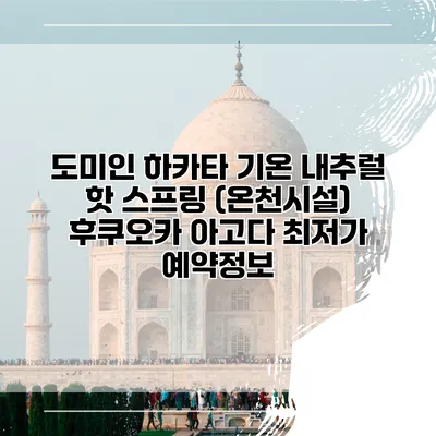 도미인 하카타 기온 내추럴 핫 스프링 (온천시설) 후쿠오카 아고다 최저가 예약정보