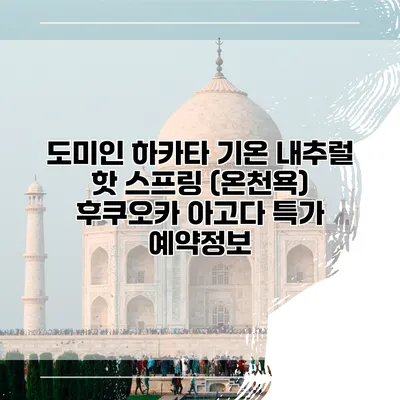 도미인 하카타 기온 내추럴 핫 스프링 (온천욕) 후쿠오카 아고다 특가 예약정보