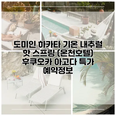 도미인 하카타 기온 내추럴 핫 스프링 (온천호텔) 후쿠오카 아고다 특가 예약정보