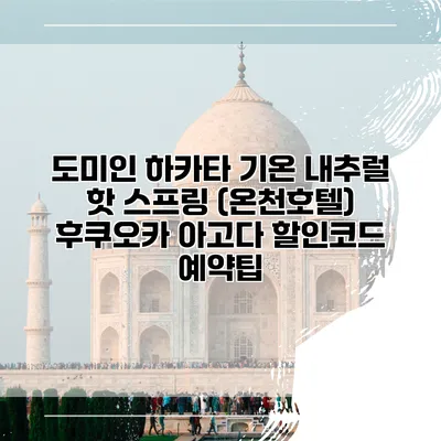 도미인 하카타 기온 내추럴 핫 스프링 (온천호텔) 후쿠오카 아고다 할인코드 예약팁