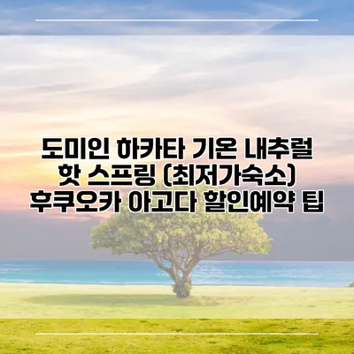 도미인 하카타 기온 내추럴 핫 스프링 (최저가숙소) 후쿠오카 아고다 할인예약 팁