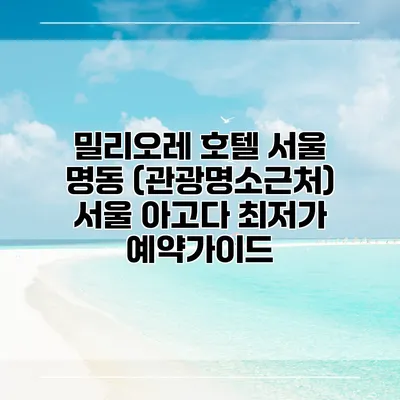 밀리오레 호텔 서울 명동 (관광명소근처) 서울 아고다 최저가 예약가이드