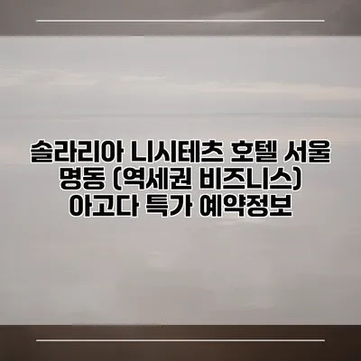 솔라리아 니시테츠 호텔 서울 명동 (역세권 비즈니스) 아고다 특가 예약정보