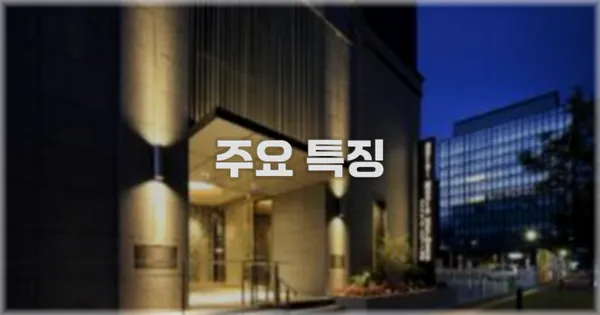 ✨ 주요 특징