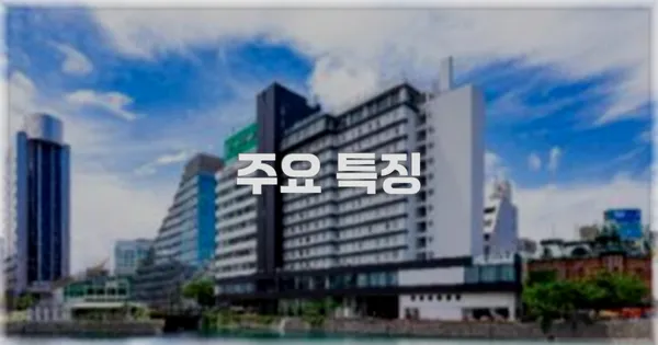 ✨ 주요 특징