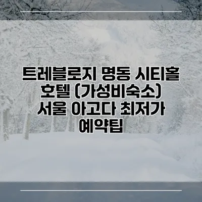 트레블로지 명동 시티홀 호텔 (가성비숙소) 서울 아고다 최저가 예약팁