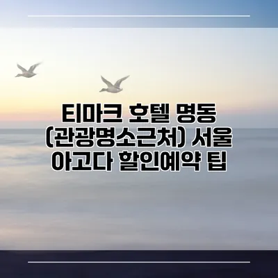 티마크 호텔 명동 (관광명소근처) 서울 아고다 할인예약 팁