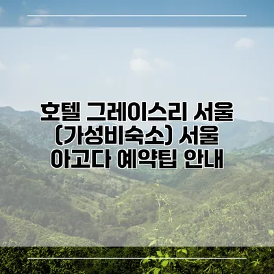 호텔 그레이스리 서울 (가성비숙소) 서울 아고다 예약팁 안내