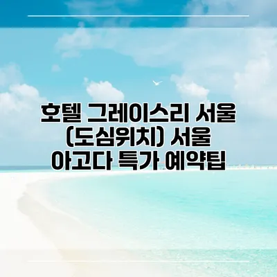 호텔 그레이스리 서울 (도심위치) 서울 아고다 특가 예약팁