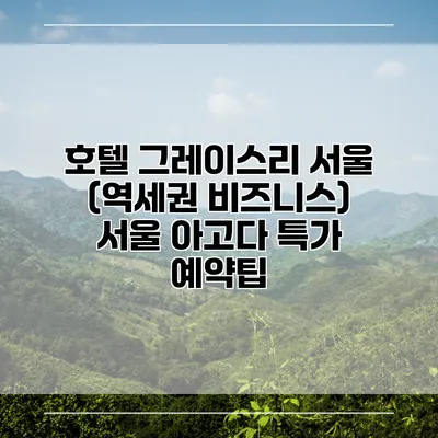 호텔 그레이스리 서울 (역세권 비즈니스) 서울 아고다 특가 예약팁