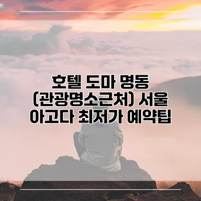 호텔 도마 명동 (관광명소근처) 서울 아고다 최저가 예약팁