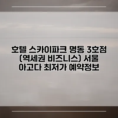 호텔 스카이파크 명동 3호점 (역세권 비즈니스) 서울 아고다 최저가 예약정보
